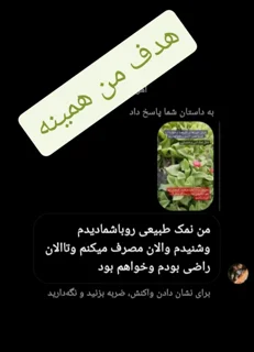 نمونه استوری